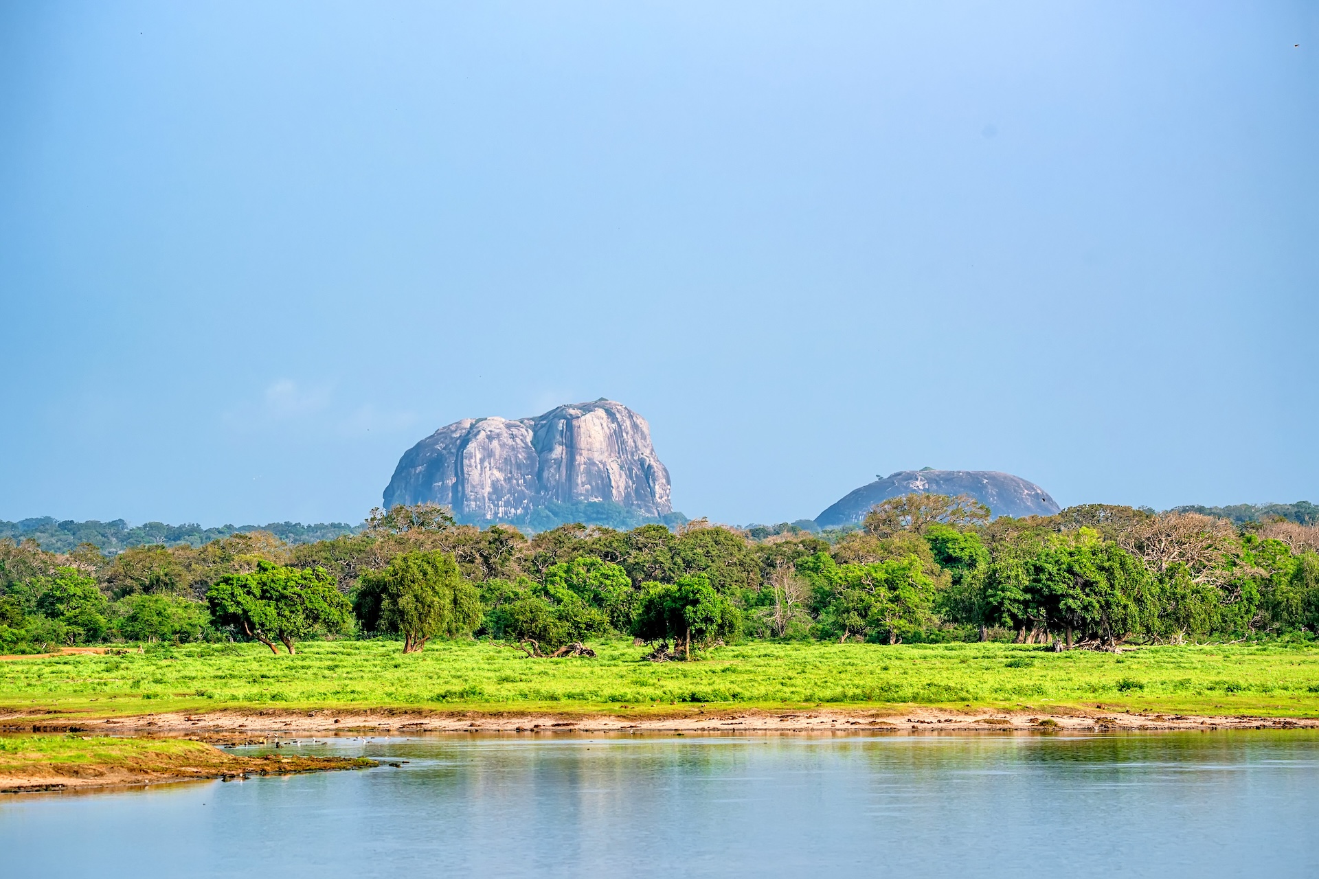 Yala National Park By Yakov